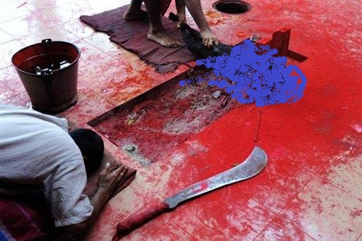 gadhimai-bara-mass-animal-slaughter
