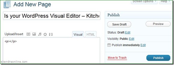 Lost Kitchen sink/Visual Editor in WordPress